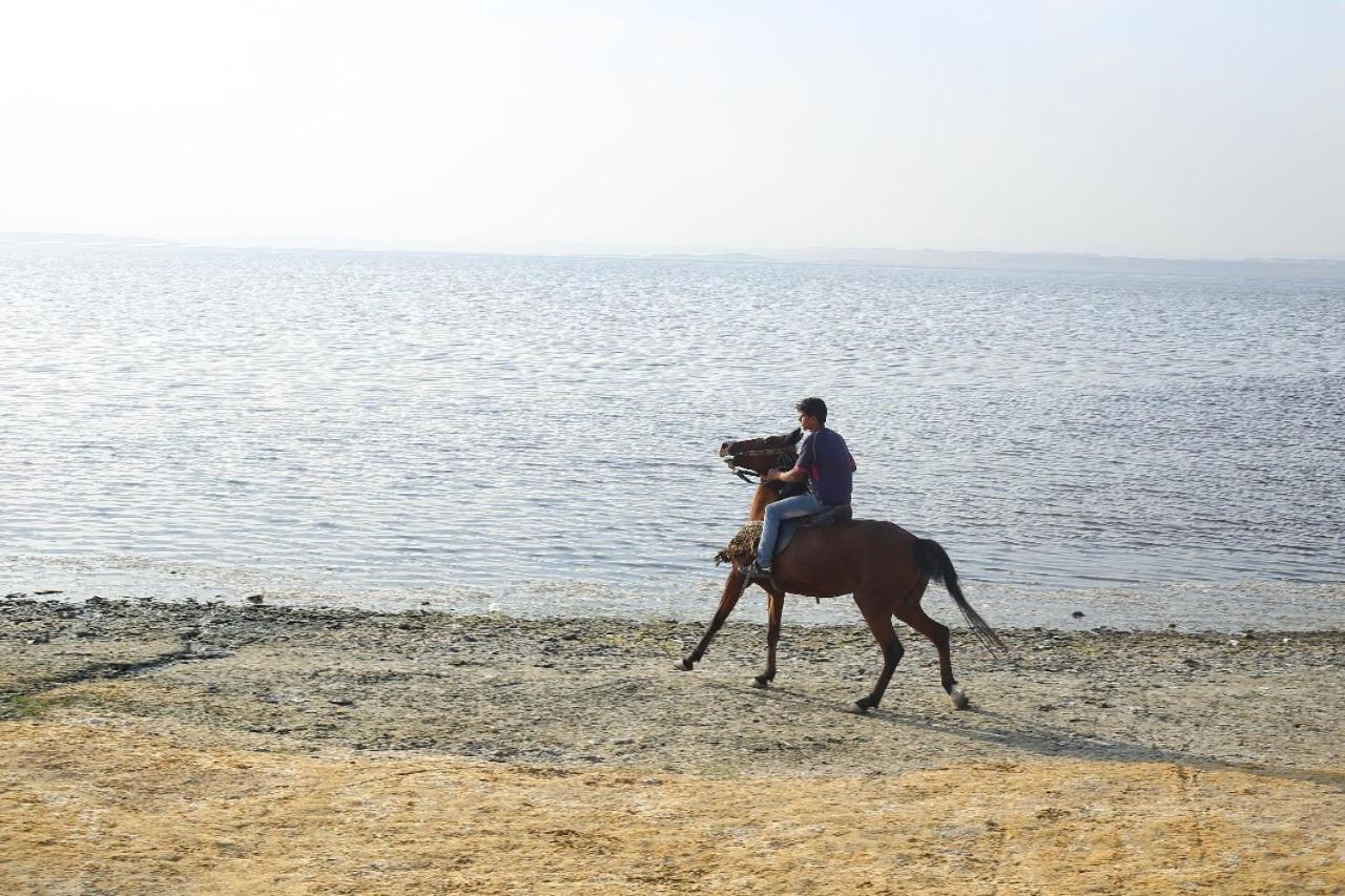 New Panorama Resort Fayoum Exterior photo